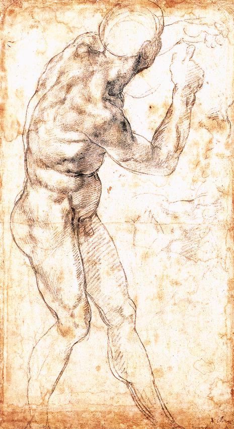 Male Nude 1504-06 