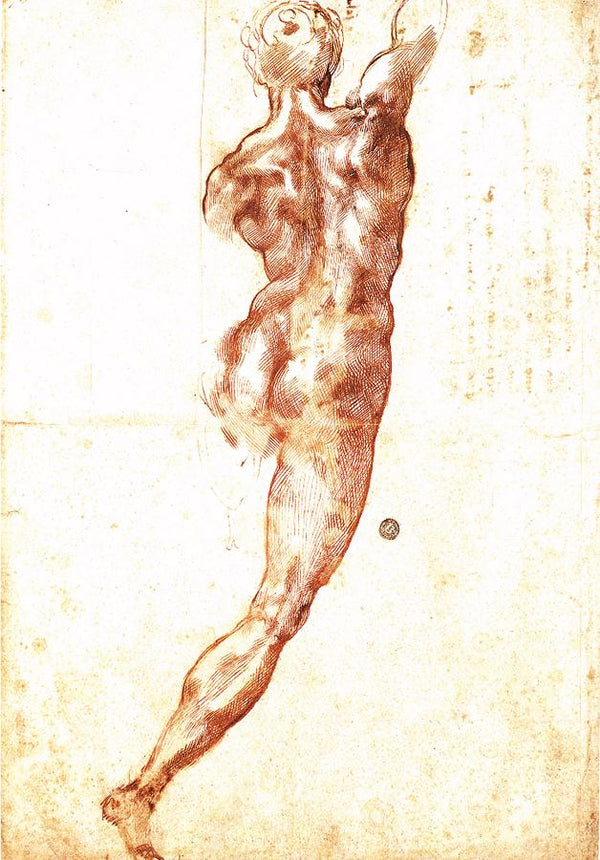 Study for a Nude 1504 