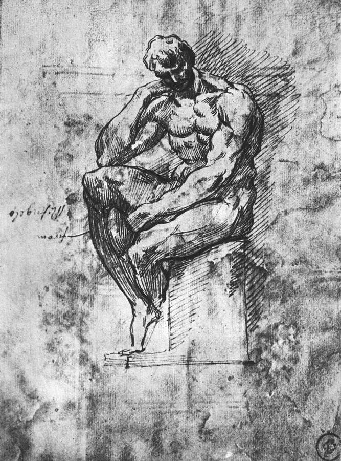 Study of a Man 1510-11 