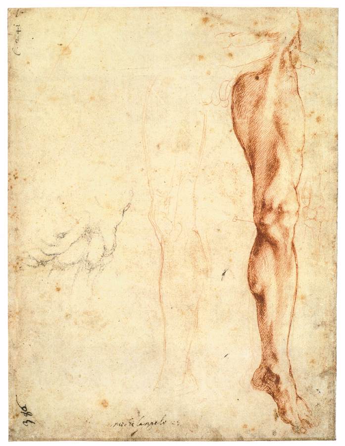 Study of a Left Male Leg (verso) 