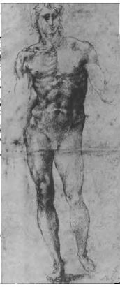 Male Nude (recto) 