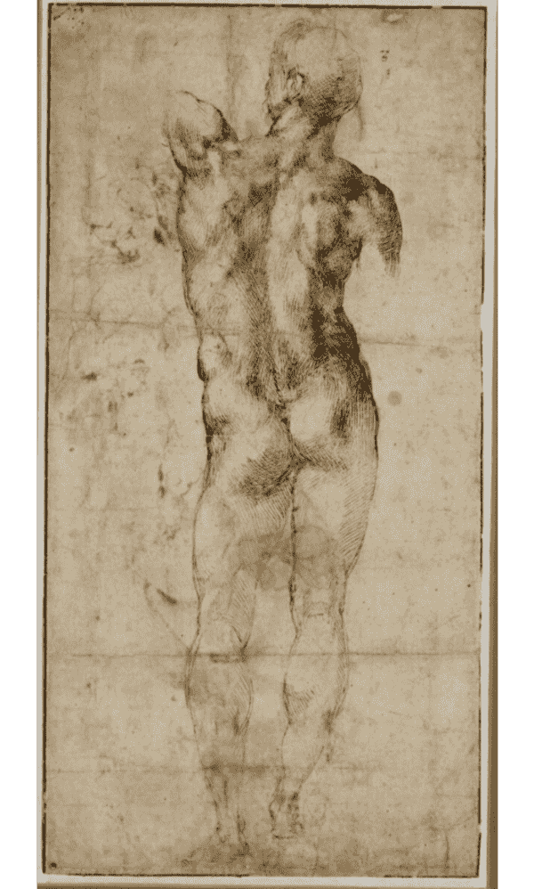 Standing Male Nude, Seen from the Rear (recto) 