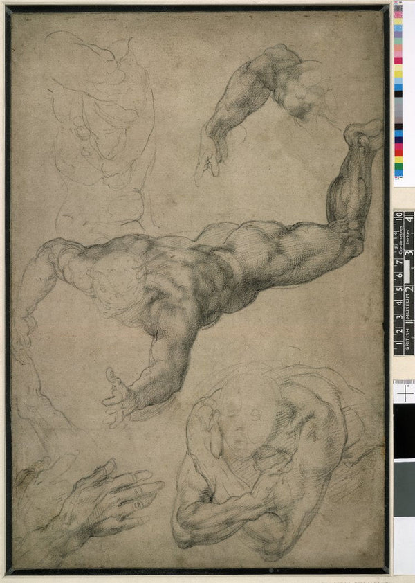 Studies for a Flying Angel (recto) 