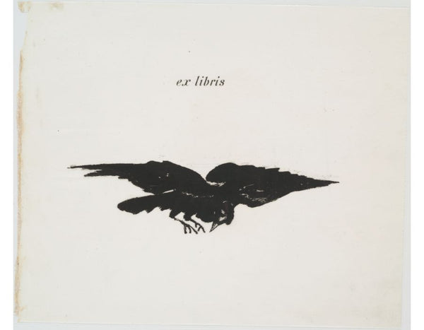 Flying raven 