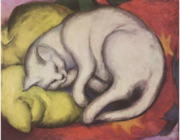 Cat on a Yellow Pillow 