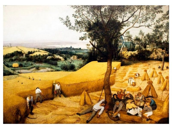 The Corn Harvest 1565