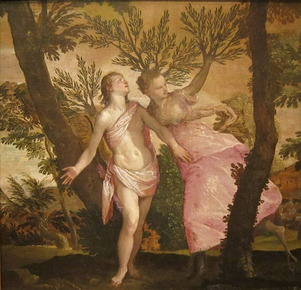 Apollo and Daphne, c.1565-70 