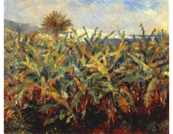 Field Of Banana Trees
 by Pierre Auguste Renoir