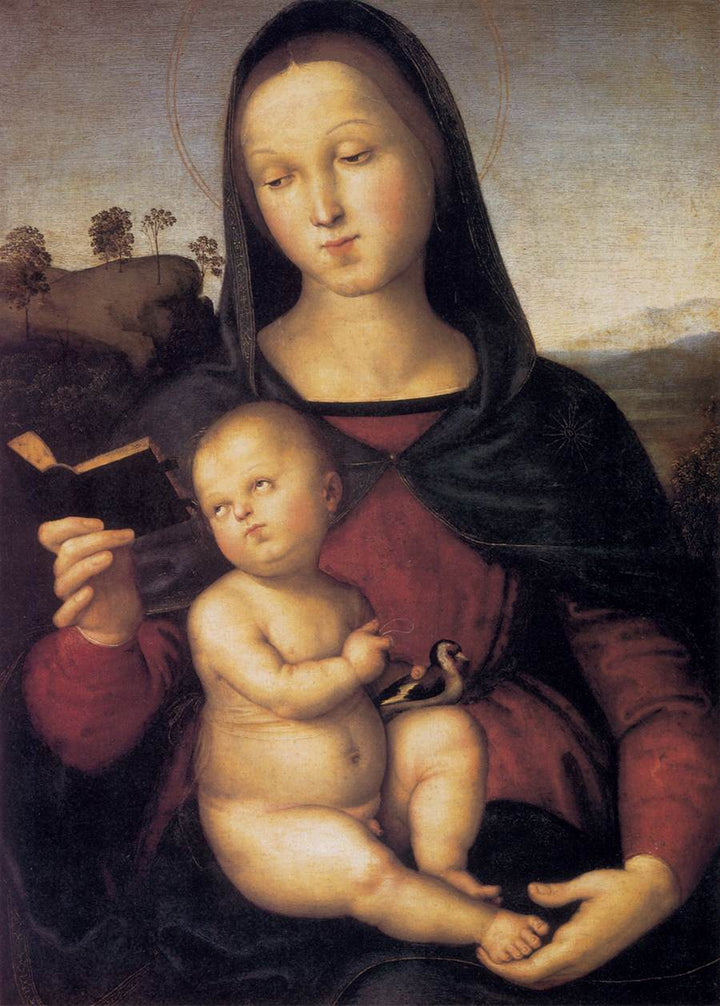 Solly Madonna 1502 
