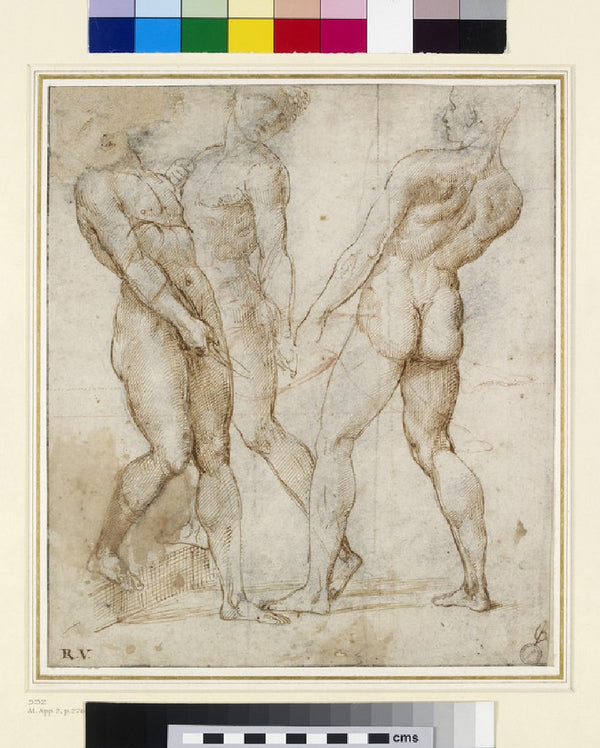 Study of Three Nude Bearers 