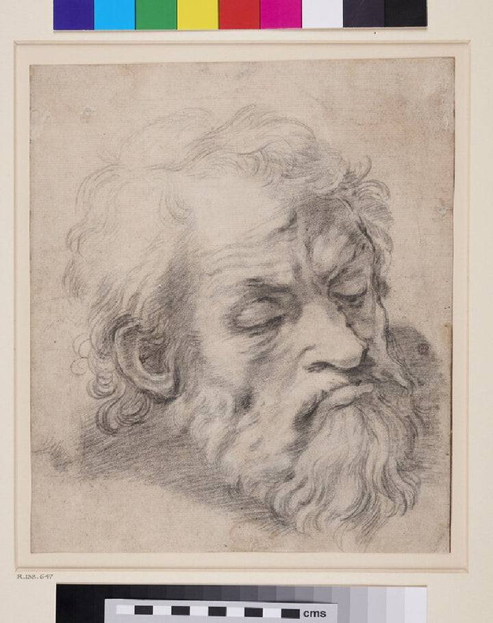 Study of the Head of an Apostle 