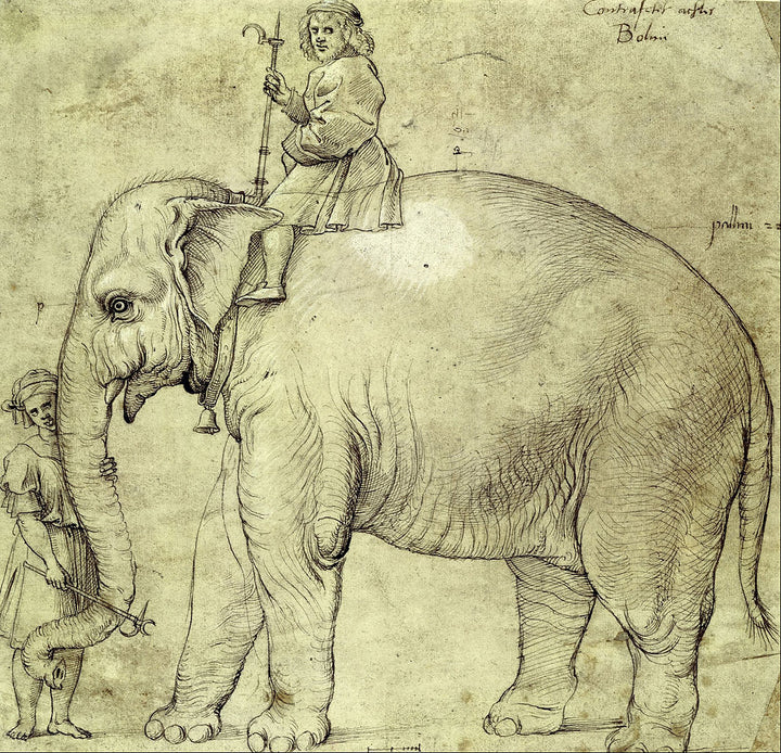 Hanno, The Pope's Leo X Elephant 
