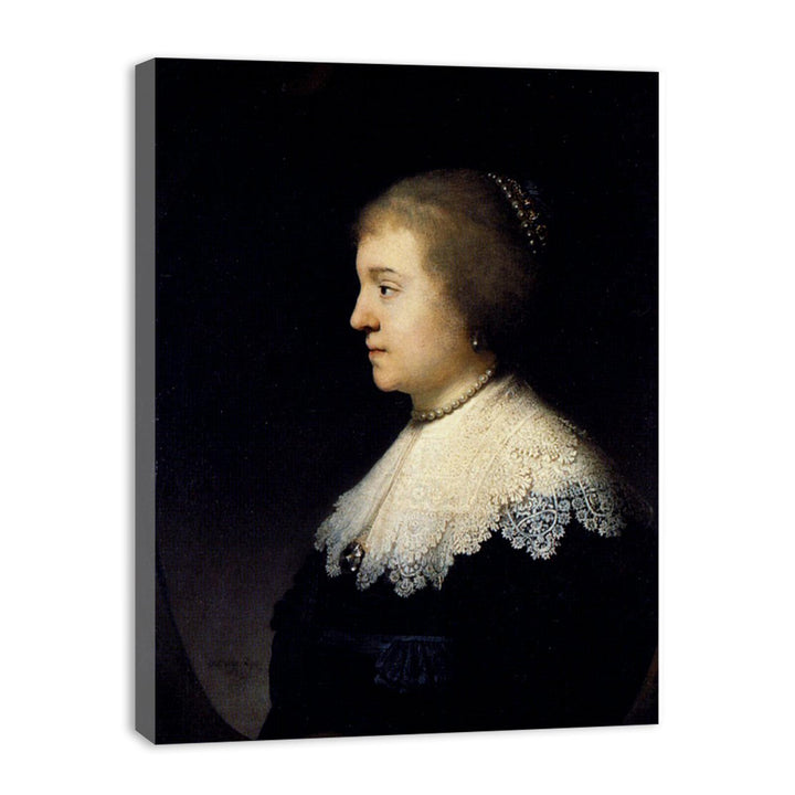 Portrait Of Amalia van Solms
 Painting