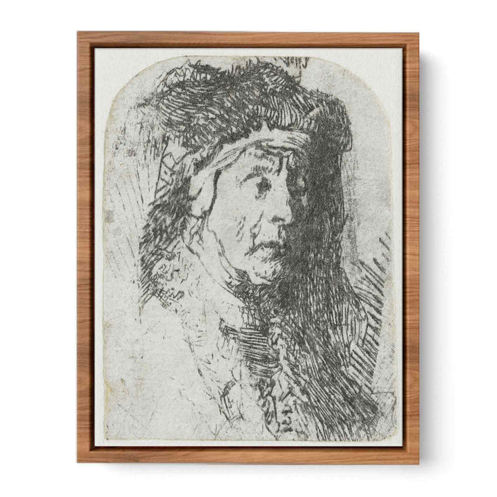 Bust of an old Woman in a furred Cloak and heavy Headdress
 Painting