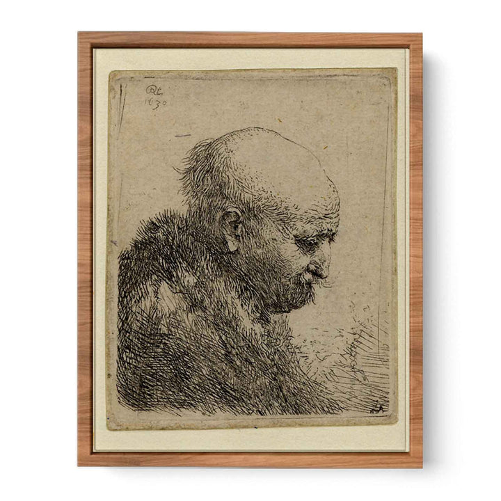 A bald-headed Man in Profile right Painting