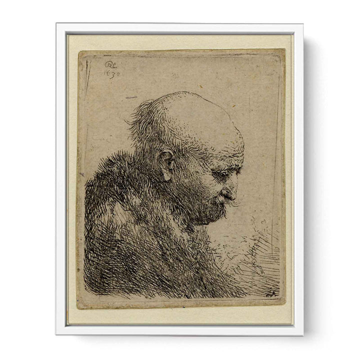 A bald-headed Man in Profile right Painting