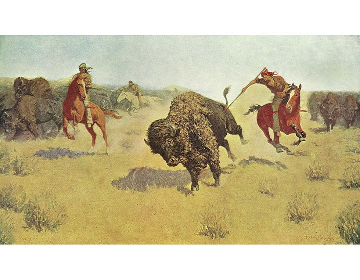 The Buffalo unnerRs 