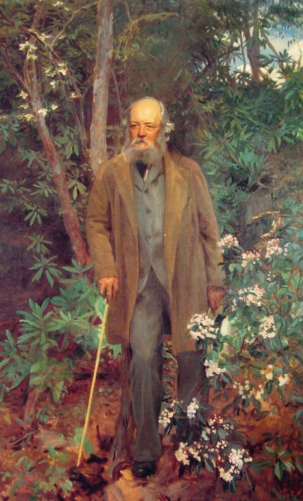 Frederick Law Olmsted Painting by John Singer Sargent