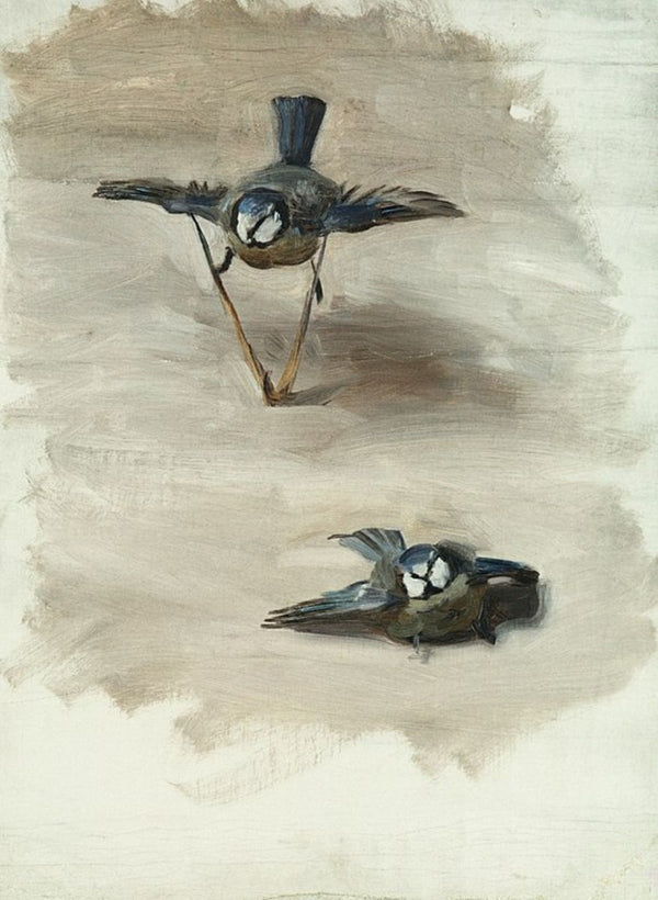 Study of a Dead Bird Painting by John Singer Sargent
