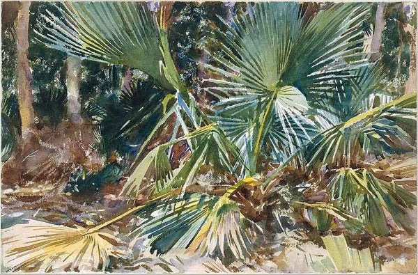 Palmettos, Florida Painting by John Singer Sargent
