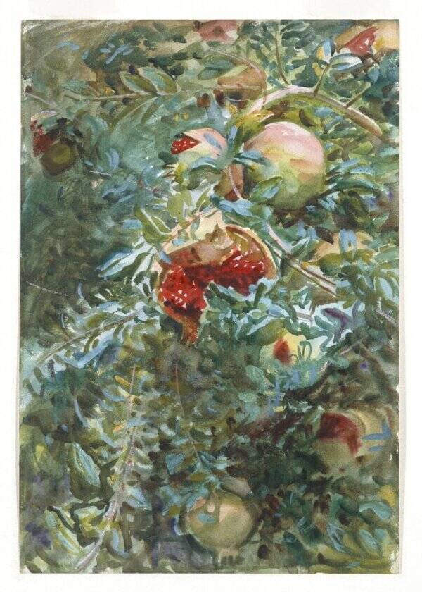 Pomegranates II Painting by John Singer Sargent