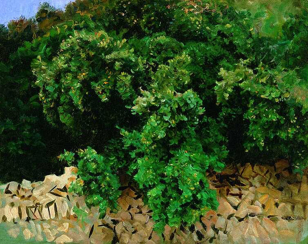 Ilex Wood, Majorca Painting by John Singer Sargent