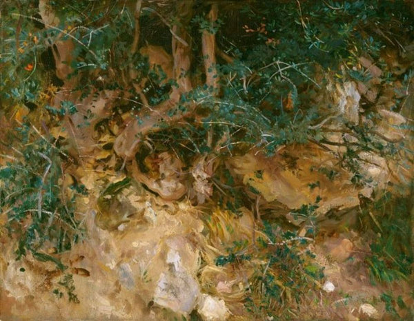 Valdemosa, Majorca: Thistles and Herbage on a Hillside Painting  by John Singer Sargent