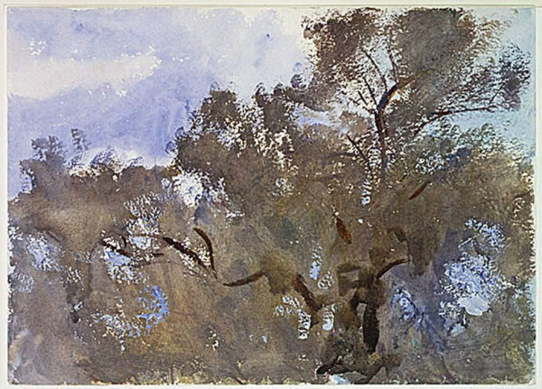 Treetops against Sky Painting by John Singer Sargent