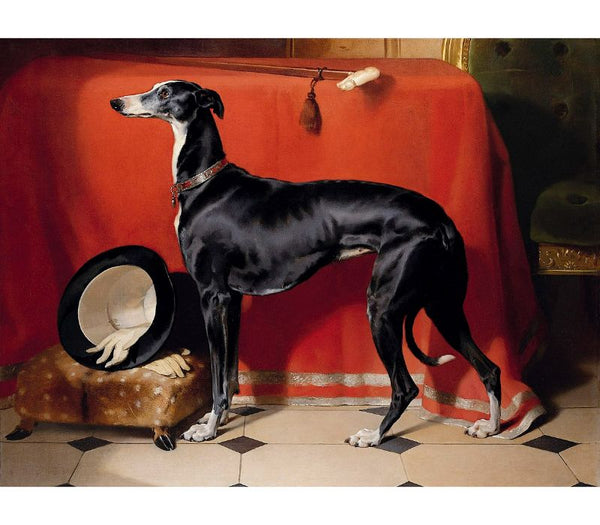 Eos, a favourite greyhound, the property of H.R.H. Prince Albert