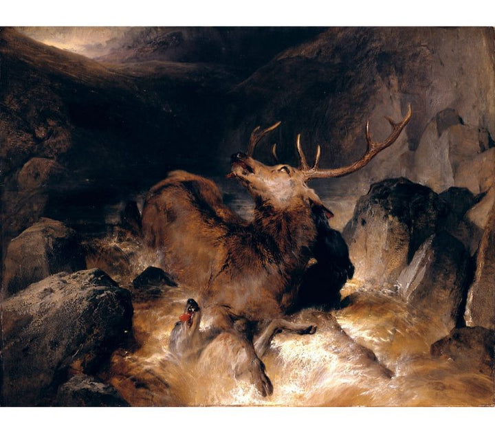 Deer and Deer Hounds in a Mountain Torrent