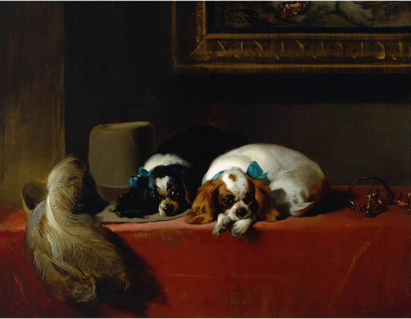 The cavalier's pets