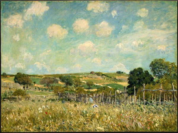 Meadow 1875