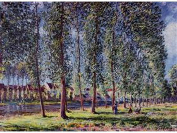 Lane of Poplars at Moret