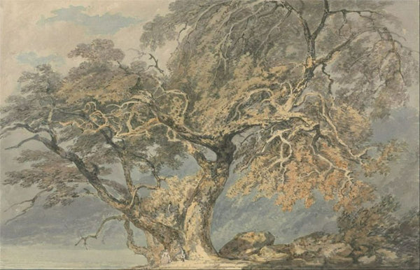 A Great Tree, c.1796 Painting by Joseph Mallord William Turner