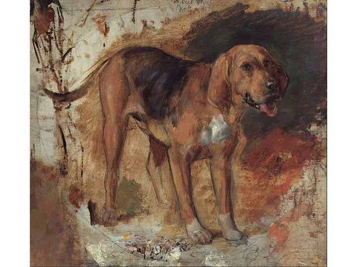 Study of a Bloodhound
