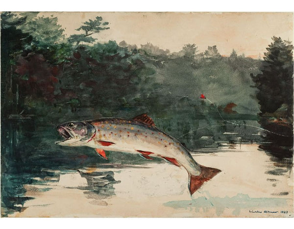 Leaping Trout I