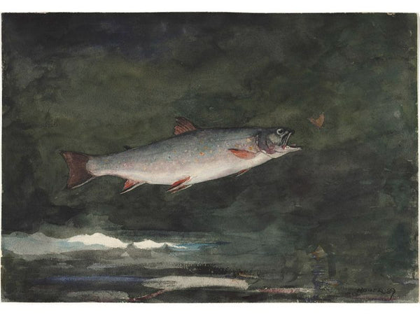 Leaping Trout II