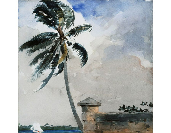 A Tropical Breeze, Nassau