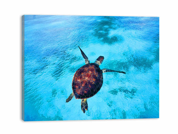 Sea Turtle Painting 