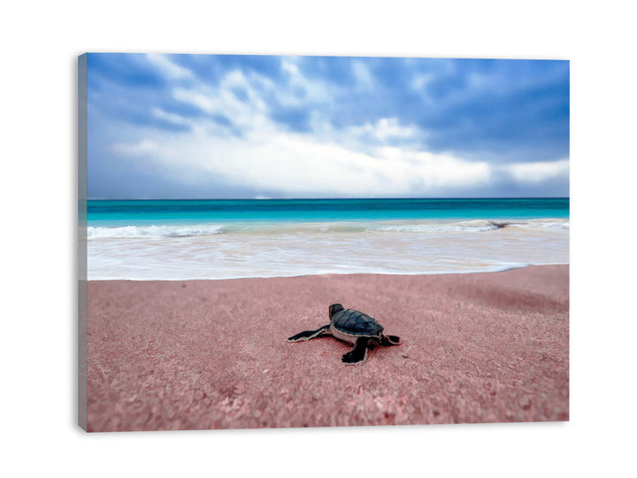 Turtle on Beach  Painting 