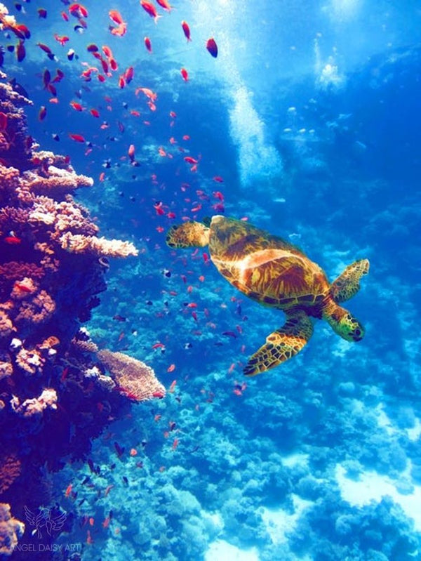  Sea Turtle Artwork Painting