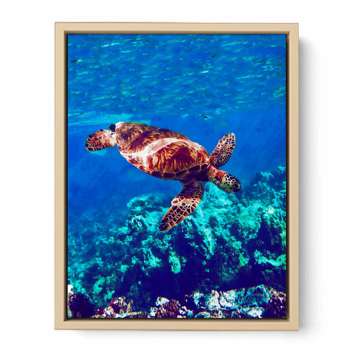 Sea Turtle Original Painting 