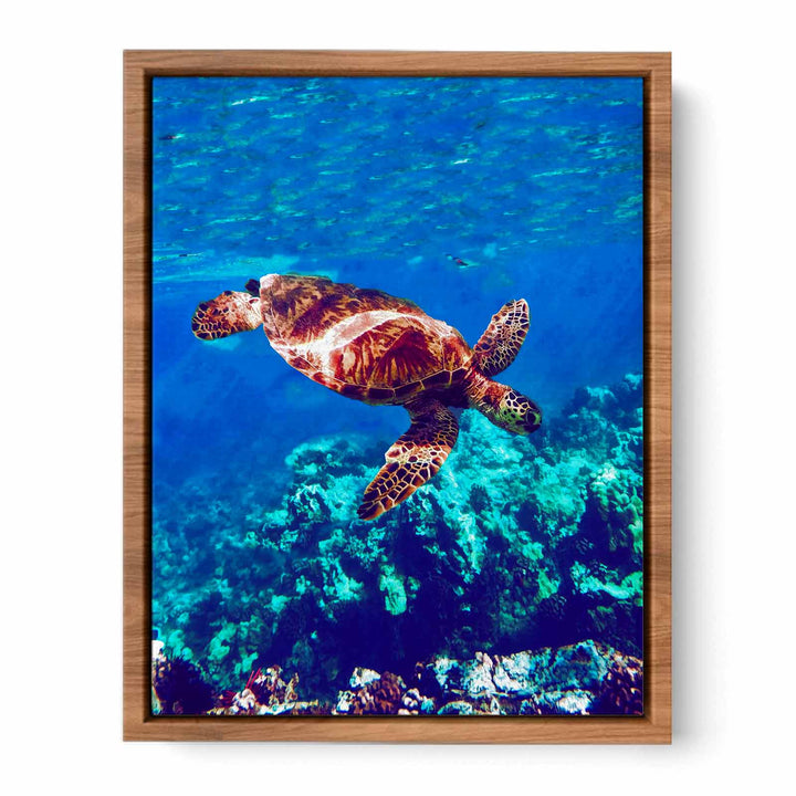Sea Turtle Original Painting 