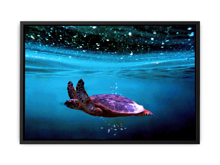 Sea Turtle Artwork 