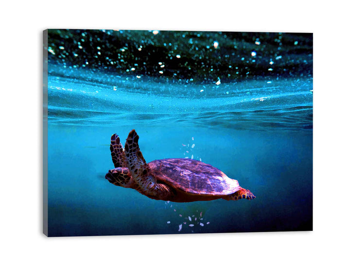 Sea Turtle Artwork 