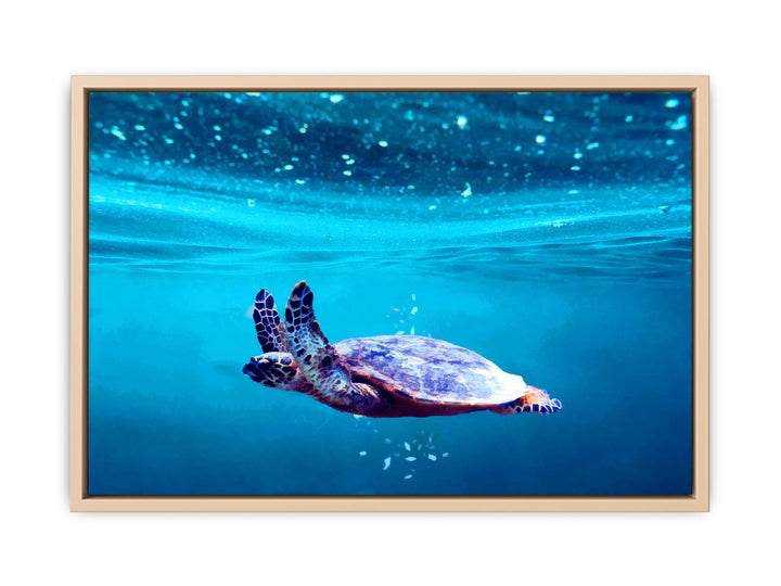 Sea Turtle Art 