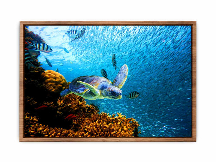 Turtle  art Oil Painting 