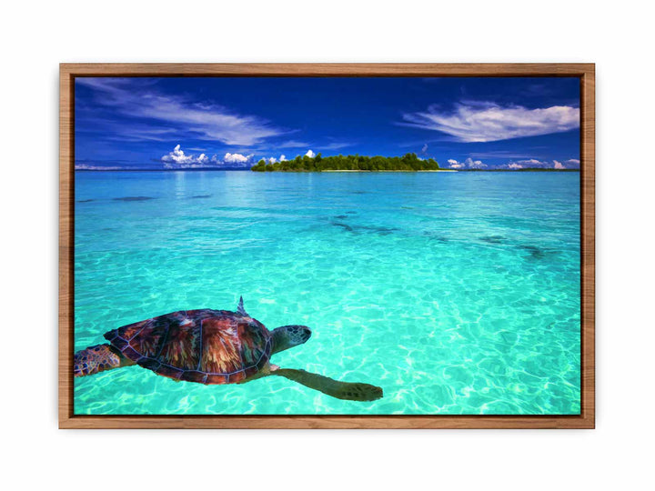 Turtle  in Sea Painting 