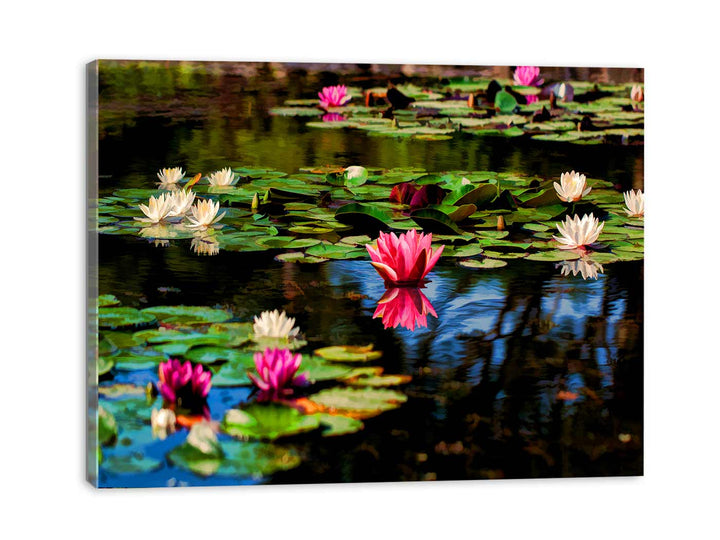 Lily flower in Pond Painting 