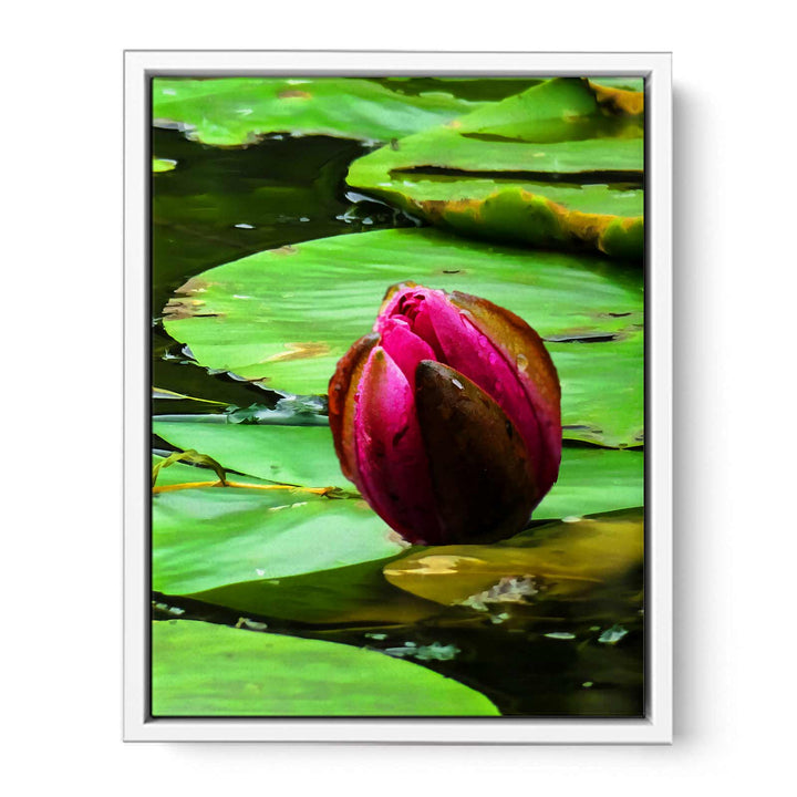Flower Bud Pond Painting 